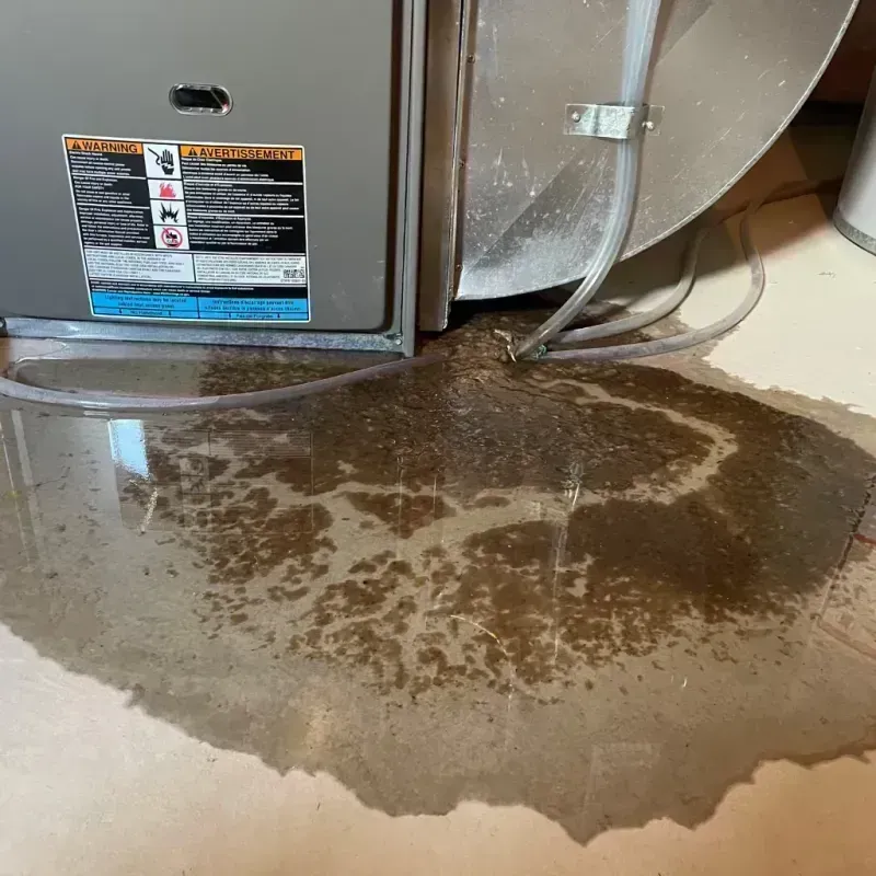 Appliance Leak Cleanup in Libertyville, IL